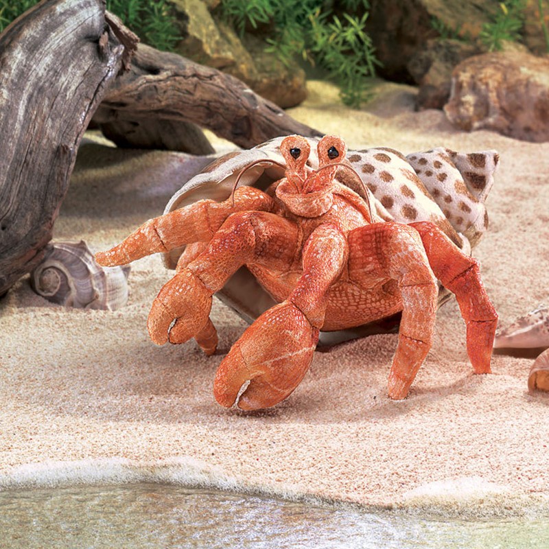 folkmanis-hermit-crab-puppet (2)