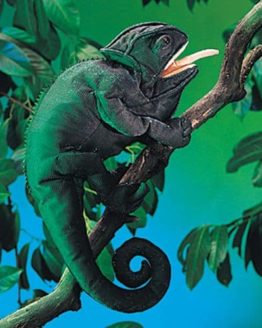 folkmanis_Chameleon_puppet_2215.jpg