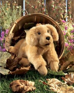 folkmanis_Golden_Retriever_Puppy_puppet_2862.jpg