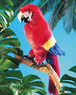 folkmanis_Macaw_Scarlet_puppet_2362.jpg