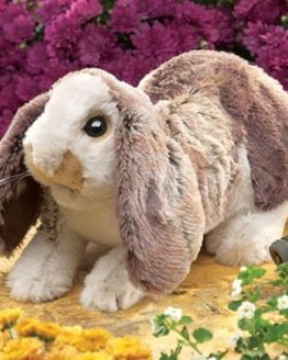folkmanis_Rabbit_Lop_Baby_puppet_3048.jpg