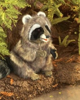 folkmanis_Raccoon_puppet_3075.jpg