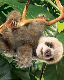 folkmanis_Sloth_Baby_puppet_2927.jpg