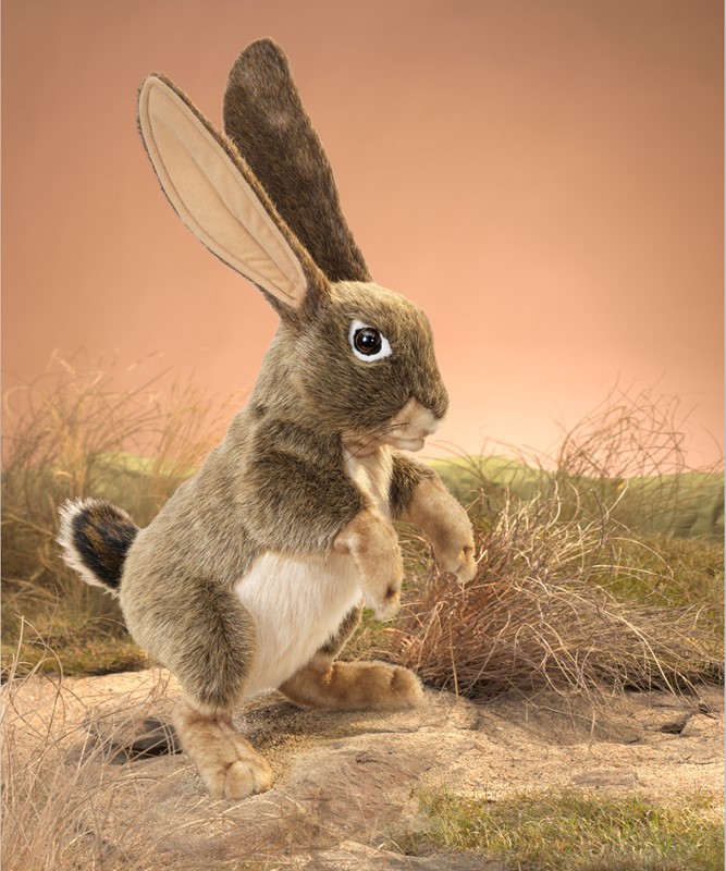 folkmanis-jackrabbit-puppet (5)