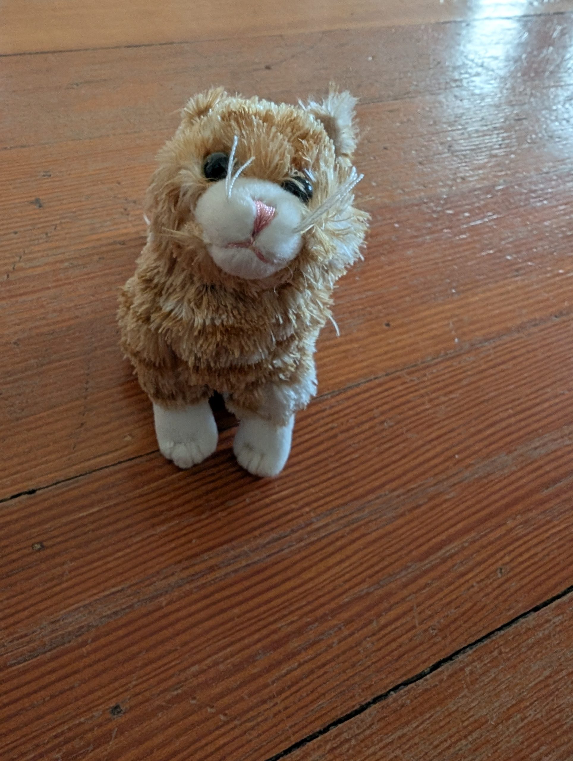 Folkmanis)_orange_tabby_kitten_finger_puppet_2