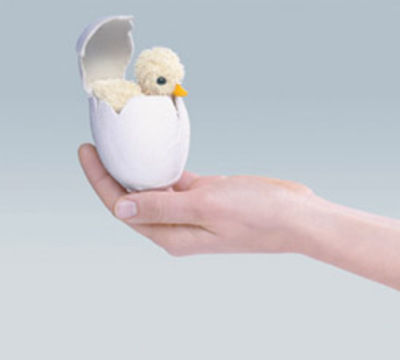 Folkmanis_chick_in_egg_finger_puppet