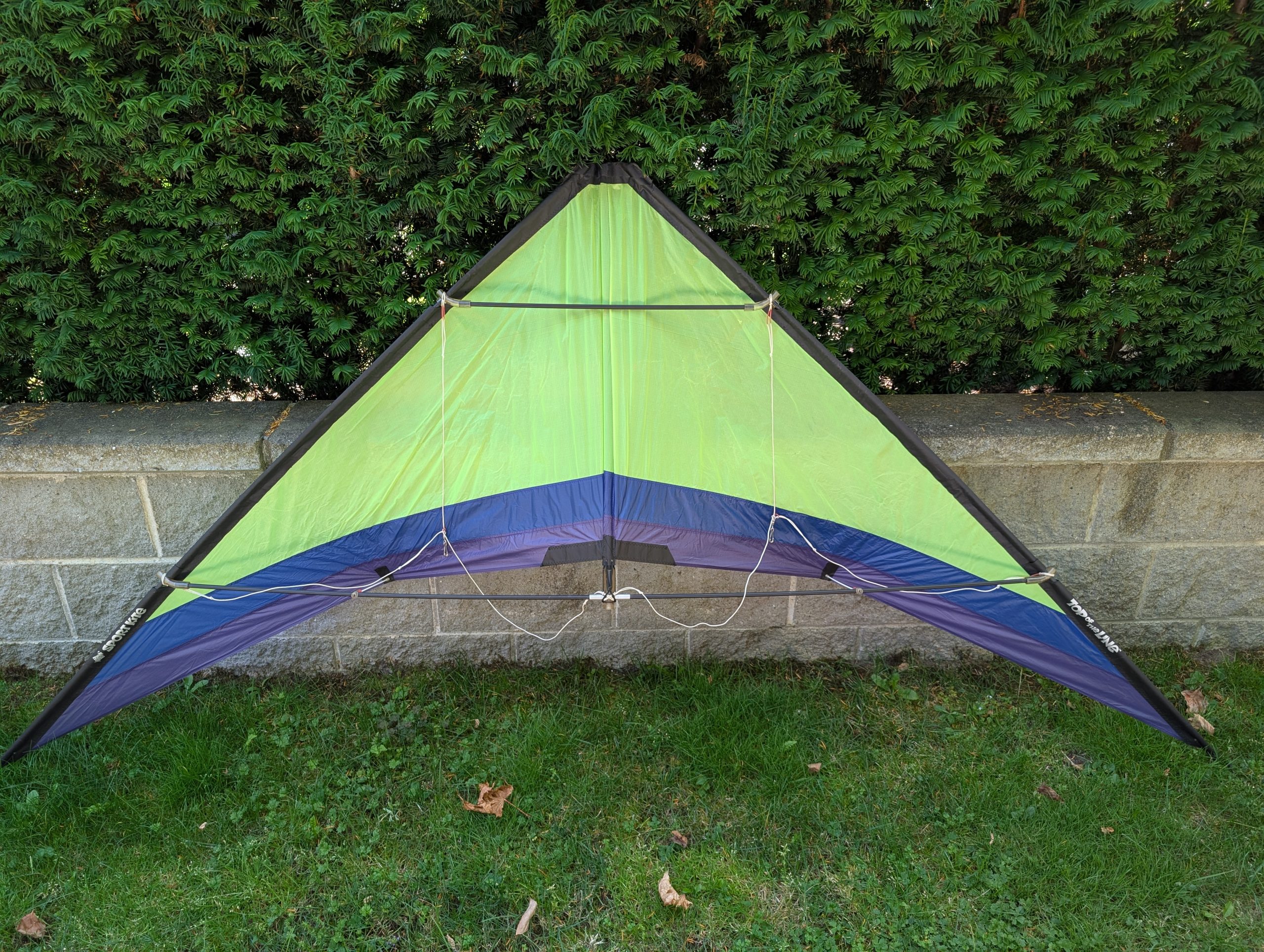 Top_of_the_line_Spinoff (3)