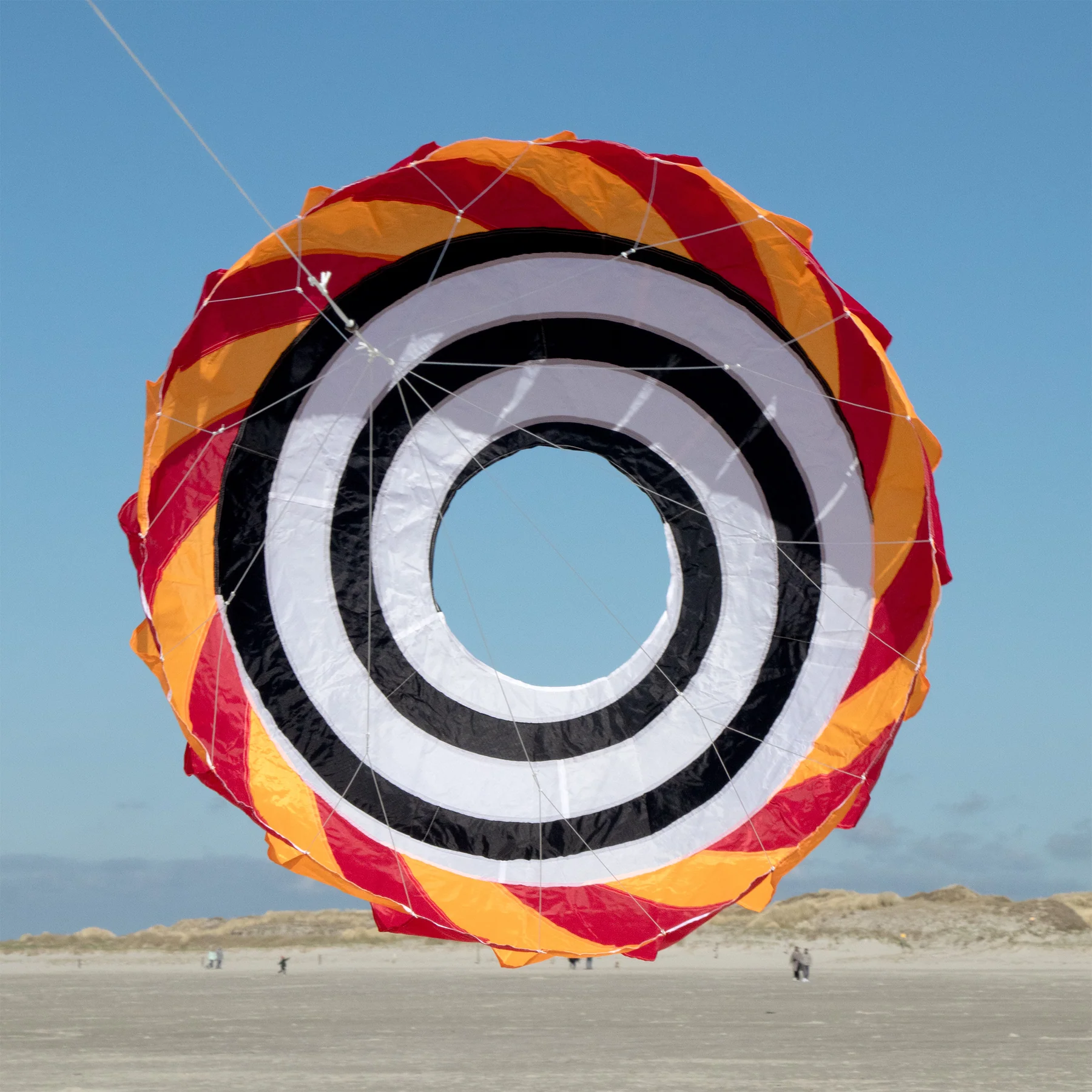 spiderkites-vertex-bol (6) spiderkites-vertex-bol (6)
